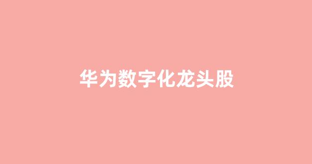 华为数字化龙头股(华为数字化转型心得体会)_https://www.syklpowerbike.com_北交所_第1张