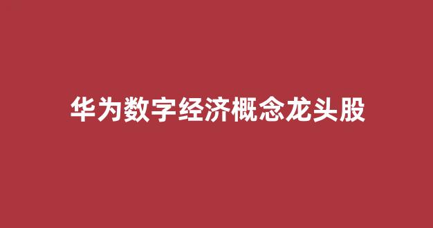 华为数字经济概念龙头股(华为数字经济股票)_https://www.hhem8.com_深交所_第1张