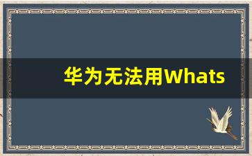 华为无法用WhatsApp