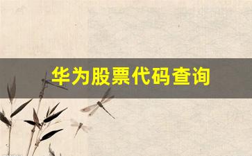 华为股票代码查询(华为股票代码查询002502)_https://www.kairu168.com_郑商所_第1张