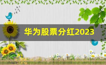 华为股票分红2023(华为股票分红2022年)_https://www.eamstsz.com_上交所_第1张