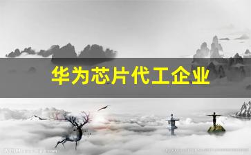 华为芯片代工企业(华为芯片是谁代工的)_https://www.nalian8.com_北交所_第1张