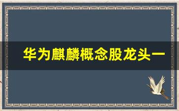 华为麒麟概念股龙头一览(华为麒麟概念股票)_https://www.hangfeite.com_上交所_第1张