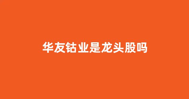 华友钴业是龙头股吗(华友钴业股票是什么板块)_https://www.gdbxwh.com_开网店_第1张