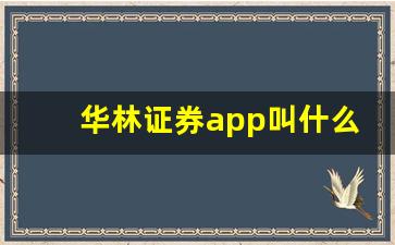 华林证券app叫什么(华林证券客服电话多少)_https://www.dcjwmf.com_郑商所_第1张