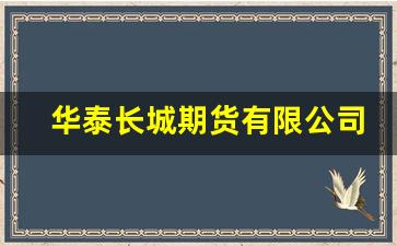 华泰长城期货有限公司(华泰长城期货有限公司副总裁金文)_https://www.nalian8.com_深交所_第1张
