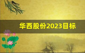华西股份2023目标价(华西股份2021)_https://www.gdbxwh.com_天猫运营_第1张
