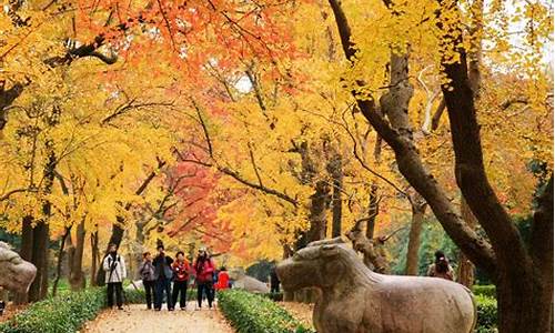 南京旅游景点介绍秋天_南京旅游景点介绍秋天的景色