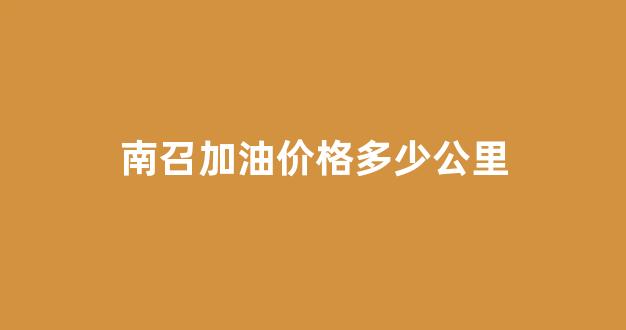 南召加油价格多少公里_河南南召油价92今日价格