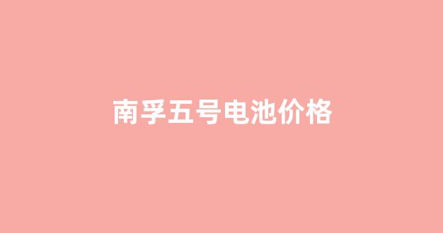 南孚五号电池价格(南孚五号电池多少钱一块)_https://www.eamstsz.com_北交所_第1张