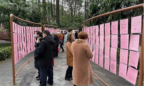 南宁人民公园相亲角从哪个门进,南宁人民公园相亲角