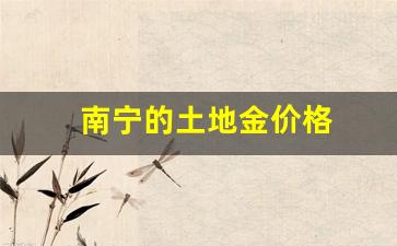 南宁土地出让金多少钱_南宁的土地金价格