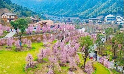 南昌县凤凰沟风景区在哪里_江西省南昌市凤凰沟景区