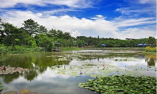 南沙湿地公园怎么样-南沙湿地公园怎么样收费