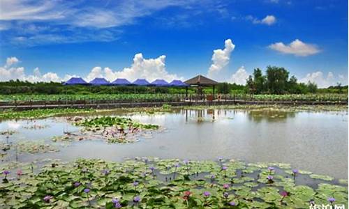 南沙湿地公园旅游路线_南沙湿地公园旅游