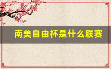 南美自由杯16强-南美自由杯是什么联赛