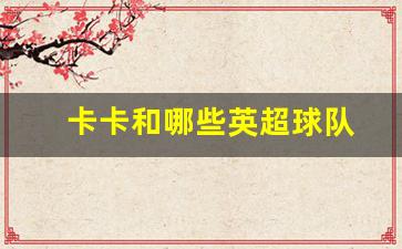 卡卡是哪支球队的-卡卡和哪些英超球队