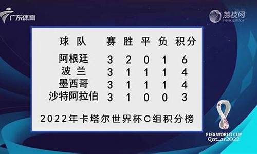 卡塔尔世界杯c罗在哪个球队,卡塔尔世界杯入选队伍