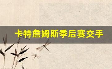 卡特詹姆斯季后赛交手-詹姆斯·卡特莱特