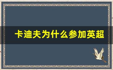 卡迪夫为什么参加英超-卡迪夫历史