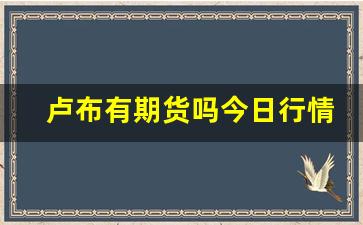 卢布有期货吗今日行情走势(卢布的走势分析)_https://www.jianghaiboli.com_恒指期货_第1张