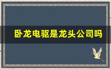 卧龙电驱是龙头公司吗(卧龙电驱股份)_https://www.jumanxin.com_深交所_第1张