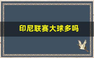 印尼联赛大球多吗-印尼联赛打架