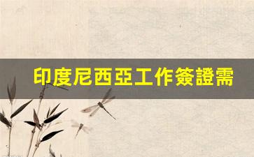 印度尼西亞工作簽證需要什么材料(印度尼西亞簽證官網(wǎng))