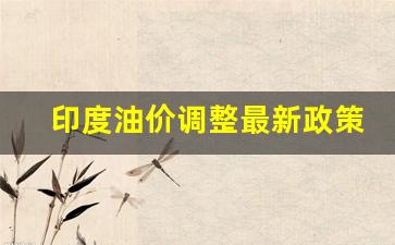 印度汽油价格-印度油价调整最新政策表