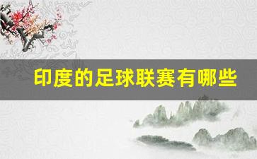 印度的足球联赛有几个级别-印度的足球联赛有哪些
