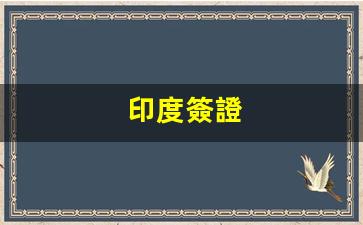 印度簽證辦理攻略，詳述所需資料及申請流程