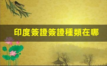 印度簽證簽證種類在哪(印度簽證需要什么資料)