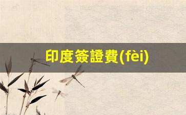 印度簽證費(fèi)多少錢(qián)(印度簽證費(fèi)多少錢(qián)一個(gè)月)