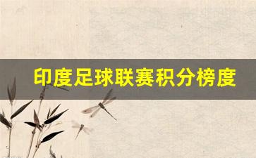 印度足球联赛积分榜度-印度足球联赛积分榜度数查询