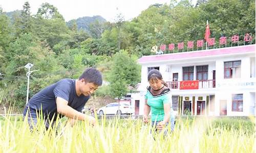 吴家山天气预报15天_印江吴家村天气预报