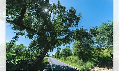 即使道路坎坷不平,车轮也要前进;即使江河的理解-即使道路坎坷不平