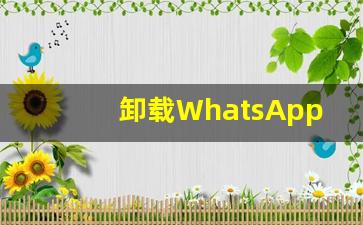 卸载WhatsApp再登录