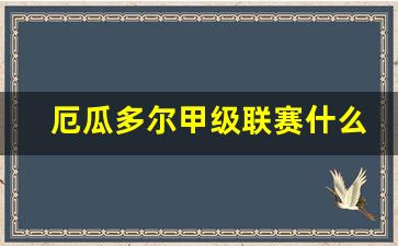 厄瓜多尔甲级联赛比分-厄瓜多尔甲级联赛什么水平