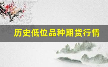 历史低位品种期货行情查询(股票历史低位是什么意思)_https://www.fzdzcxj.com_上交所_第1张