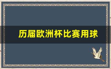历届欧洲杯参赛队伍-历届欧洲杯比赛用球