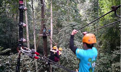 原始森林公园丛林飞跃a段b段区别,原始森林丛林飞跃简介