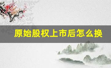 原始股权上市后怎么换成股票_https://www.qldgs.com_期货_第1张