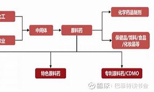 原料药制剂一体化的概念-原料制剂一体化企业