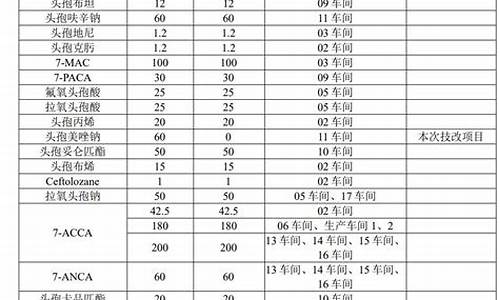 原料药技改项目合成车间装修项目-原料药技改项目合成车间装修项