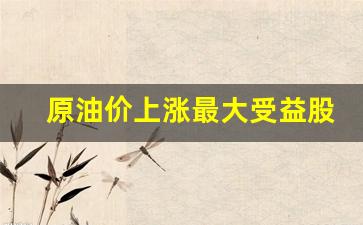 原油价上涨最大受益股(原油涨价最大受益行业)_https://www.gzyhshgzzx.com_上期所_第1张