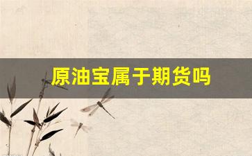 原油宝属于期货吗(原油宝属于期货吗)_https://www.qldgs.com_内盘期货_第1张