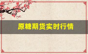 原糖期货实时行情(原糖期货走势)_https://www.jumanxin.com_上交所_第1张