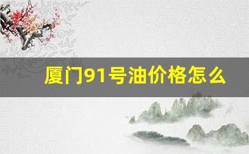 厦门91号油价格怎么样-厦门92号汽油多少钱一升