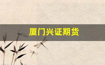 厦门兴证期货(兴证期货是国企吗)_https://www.wanyuyiyao.com_深交所_第1张
