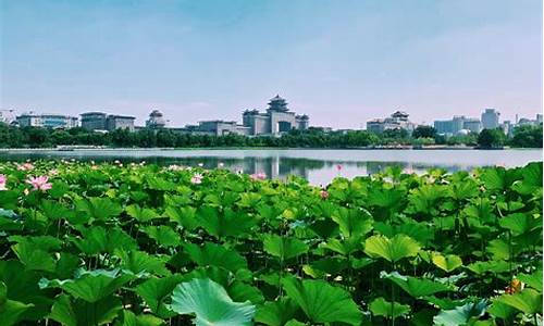 厦门莲花山国家森林公园_厦门莲花公园一圈